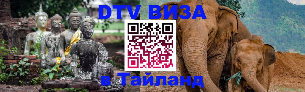 DTV Visa Тайланд купить 